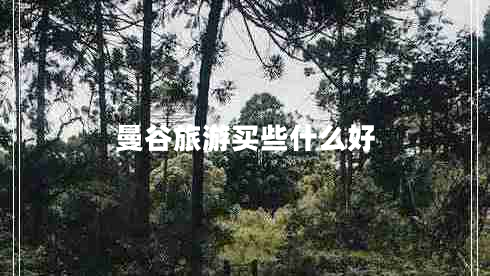 曼谷旅游買(mǎi)些什么好