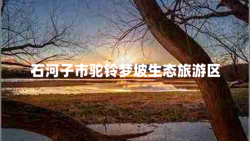 石河子市駝鈴夢(mèng)坡生態(tài)旅游區