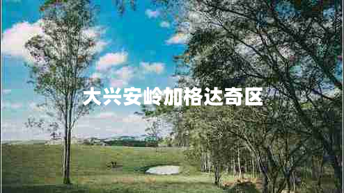 大興安嶺加格達奇區