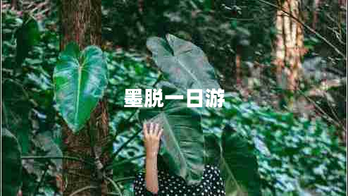 墨脫一日游