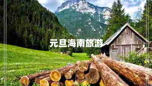 元旦海南旅游