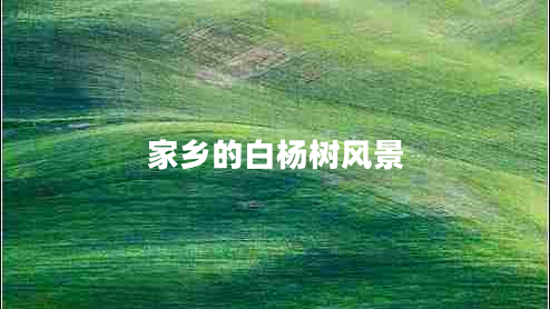 家鄉的白楊樹(shù)風(fēng)景