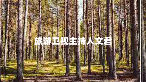 旅游衛視主持人文君