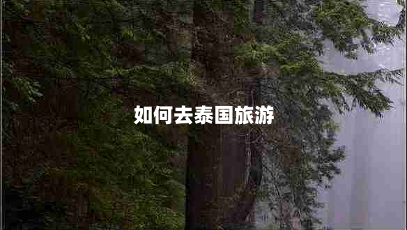 如何去泰國旅游