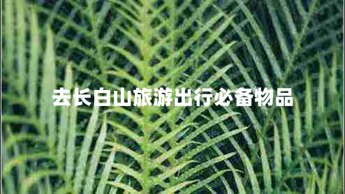 去長(cháng)白山旅游出行必備物品