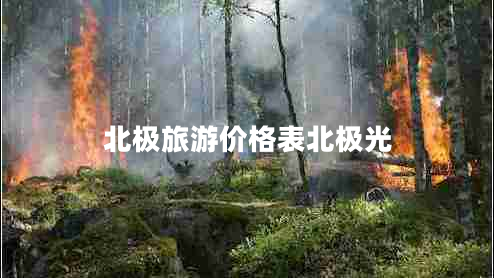 北極旅游價(jià)格表北極光