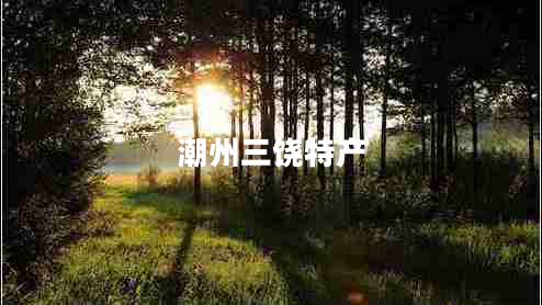 潮州三饒特產(chǎn)
