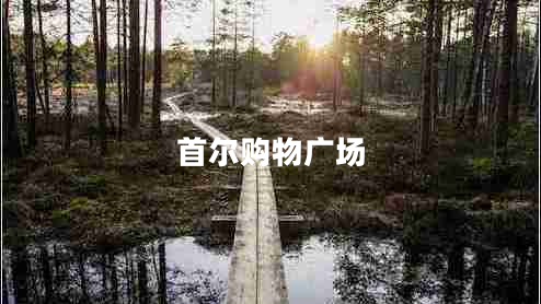 首爾購(gòu)物廣場(chǎng)