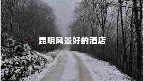 昆明風(fēng)景好的酒店