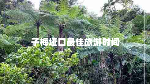 子梅埡口最佳旅游時(shí)間