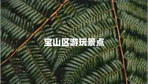 寶山區游玩景點(diǎn)