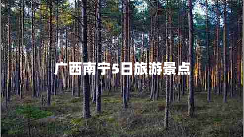 廣西南寧5日旅游景點(diǎn)