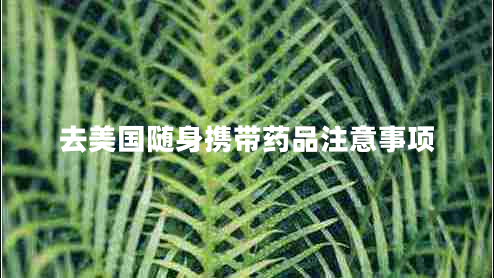 去美國隨身攜帶藥品注意事項