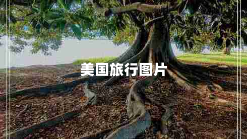 美國旅行圖片