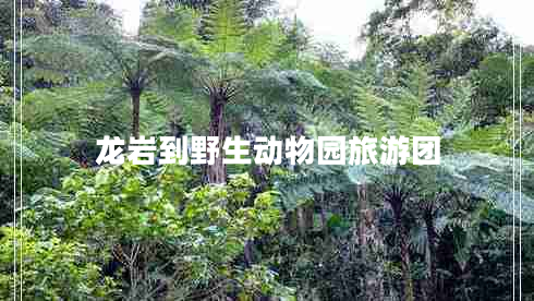 龍巖到野生動(dòng)物園旅游團