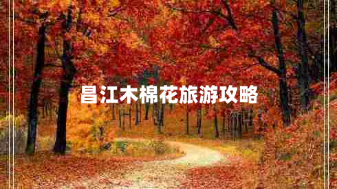 昌江木棉花旅游攻略