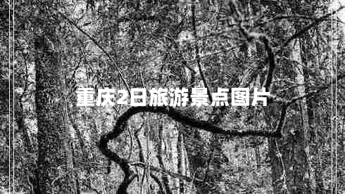 重慶2日旅游景點(diǎn)圖片