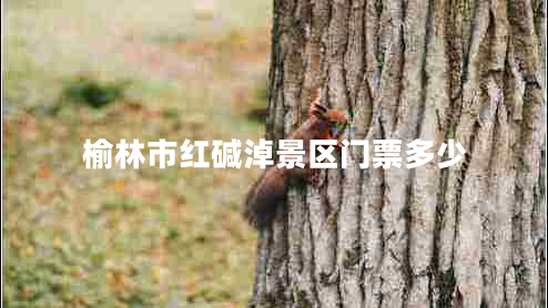 榆林市紅堿淖景區門(mén)票多少