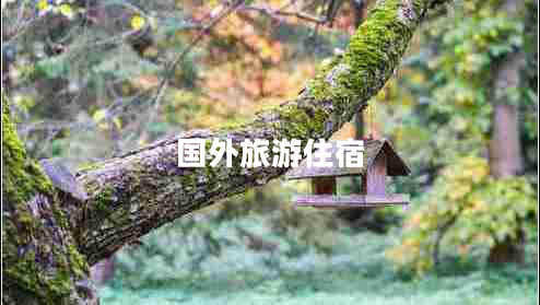 國外旅游住宿
