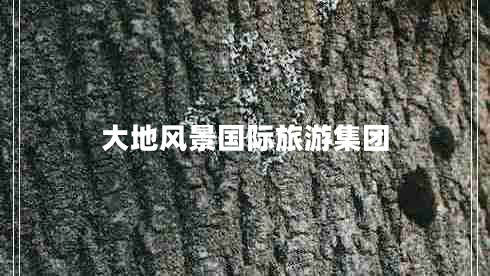 大地風(fēng)景國際旅游集團