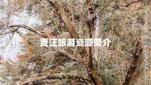 賈汪旅游資源簡介