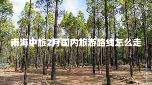 南海中旅2月國內旅游路線(xiàn)怎么走