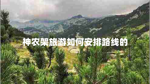 神農架旅游如何安排路線(xiàn)的