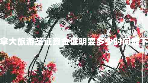 加拿大旅游簽證資金證明要多少時(shí)間能下來(lái)