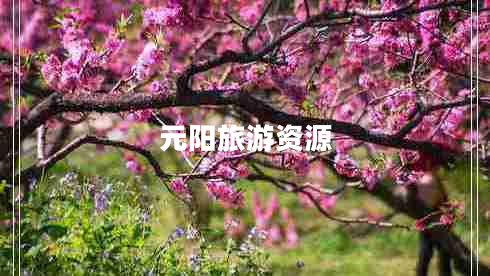 元陽(yáng)旅游資源