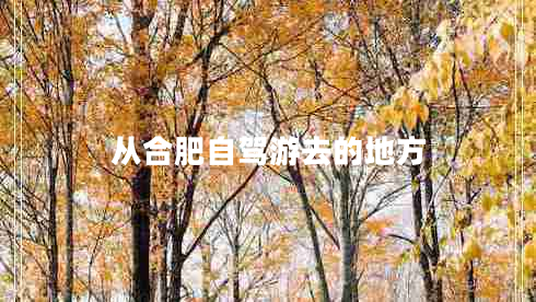 從合肥自駕游去的地方 從合肥自駕游去的地方