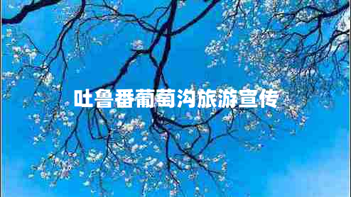 吐魯番葡萄溝旅游宣傳 吐魯番葡萄溝旅游宣傳