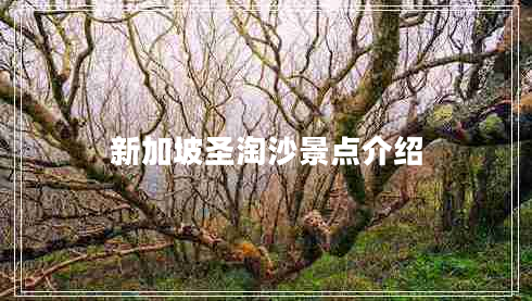 新加坡圣淘沙景點介紹