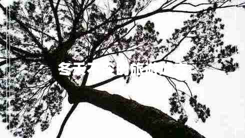 冬天不冷的旅游地方 冬天不冷的旅游地方