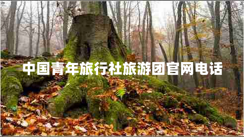 中國青年旅行社旅游團官網(wǎng)電話 中國青年旅行社旅游團官網(wǎng)電話