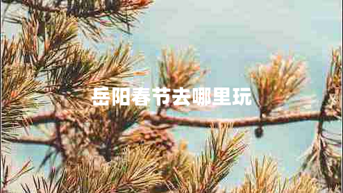 岳陽(yáng)春節去哪里玩