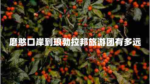 磨憨口岸到瑯勃拉邦旅游團(tuán)有多遠(yuǎn) 磨憨口岸到瑯勃拉邦旅游團(tuán)有多遠(yuǎn)