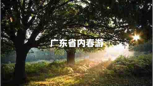 廣東省內春游