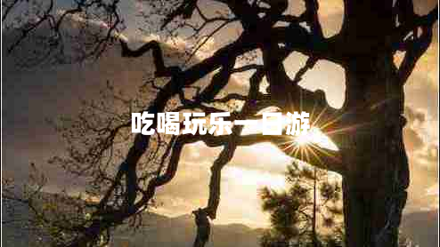 吃喝玩樂(lè )一日游