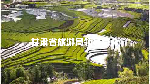 甘肅省旅游局領(lǐng)導簡(jiǎn)介