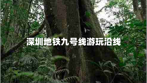深圳地鐵九號(hào)線游玩沿線