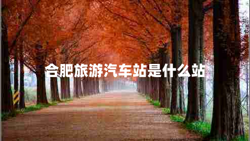 合肥旅游汽車(chē)站是什么站