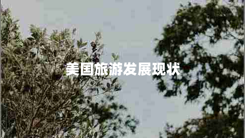 美國旅游發(fā)展現狀