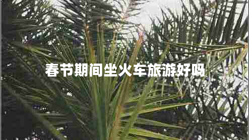 春節期間坐火車(chē)旅游好嗎