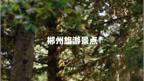 郴州旅游景點