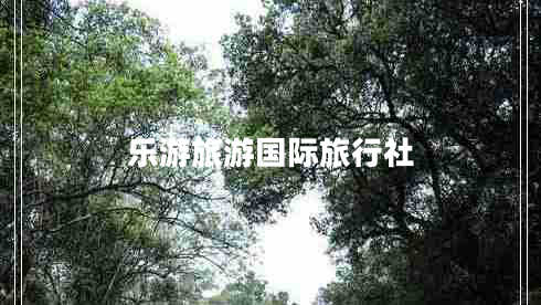 樂(lè )游旅游國際旅行社
