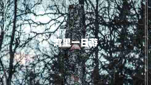 灣里一日游