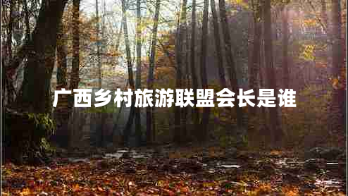 廣西鄉村旅游聯(lián)盟會(huì )長(cháng)是誰(shuí)