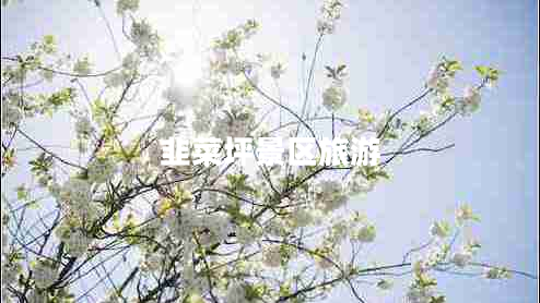 韭菜坪景區旅游