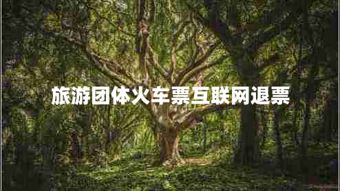 旅游團體火車(chē)票互聯(lián)網(wǎng)退票
