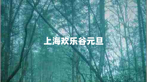 上海歡樂(lè )谷元旦